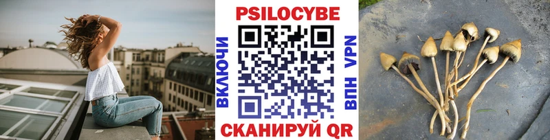 Псилоцибиновые грибы Magic Shrooms  Бабаево 