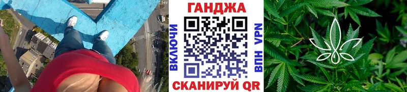 Шишки марихуана семена  купить наркоту  Бабаево 